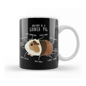 Baskı Dükkanı Anatomy of a Guinea Pig Kupa