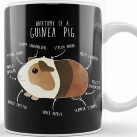 Baskı Dükkanı Anatomy of a Guinea Pig Kupa