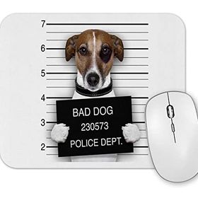 Baskı Dükkanı Bad Dog Pug Köpek Mouse Pad