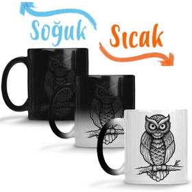 Baskı Dükkanı Baykuş Drawing Çizim Hayvan Animal Owl Simple Pet Sihirli Porselen Kupa