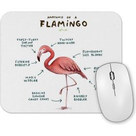 Baskı Dükkanı Bir Flamingo Anatomisi 2 Mouse Pad