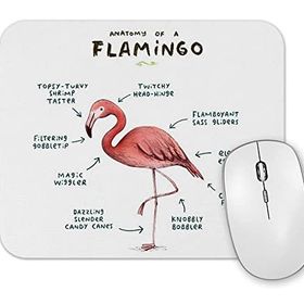 Baskı Dükkanı Bir Flamingo Anatomisi 2 Mouse Pad