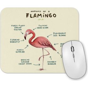 Baskı Dükkanı Bir Flamingo Anatomisi Mouse Pad