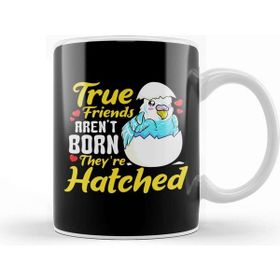 Baskı Dükkanı Bird Pun Cute True Friends Arent Born They are Hatched Kupa