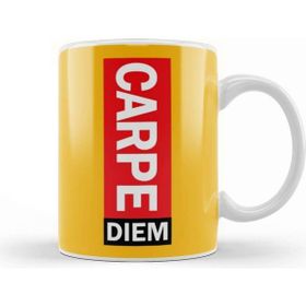 Baskı Dükkanı Carpe Diem Seize The Day Kupa Bardak