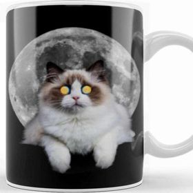 Baskı Dükkanı Cat Moon Lover Lady Gifts Kupa