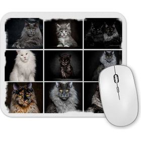 Baskı Dükkanı Cats Collection One Mouse Pad