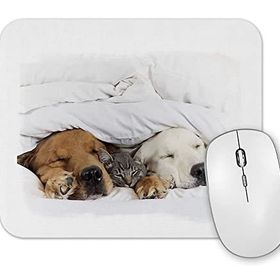 Baskı Dükkanı Cats Collection Three Mouse Pad