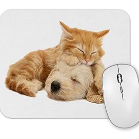 Baskı Dükkanı Cats Collection Two Mouse Pad