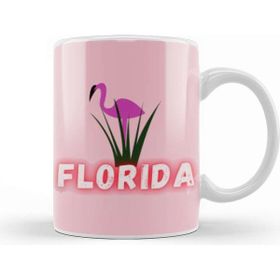 Baskı Dükkanı Florida Gift Vintage Retro Rainbow Kupa