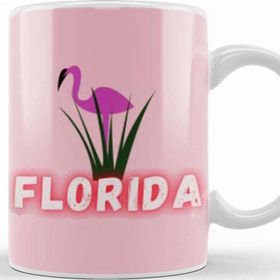 Baskı Dükkanı Florida Gift Vintage Retro Rainbow Kupa