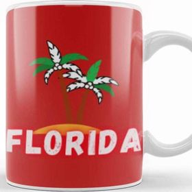 Baskı Dükkanı Florida Love Gift Vintage Retro Rainbow Kupa