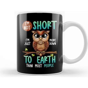 Baskı Dükkanı Funny I M Not Short I M Just Down To Earth Owl Pun Kupa