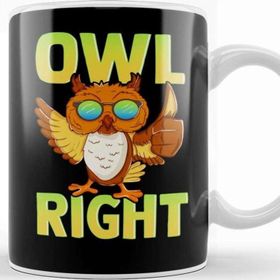 Baskı Dükkanı Funny Owl Right Thumbs Up Hippie Cute Alright Pun Kupa Bardak