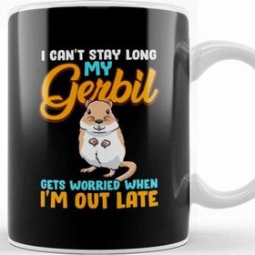 Baskı Dükkanı I Can T Stay Long My Gerbil Gets Worried When Late Kupa