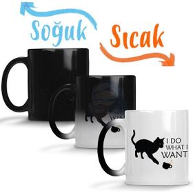 Baskı Dükkanı I Do What I Want Ne Istersem Onu Yaparım Kedi Sihirli Porselen Kupa