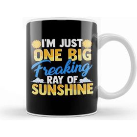 Baskı Dükkanı I M Just One Big Freaking Ray of Sunshine Kupa