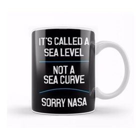 Baskı Dükkanı It's Called A Sea Level Not A Sea Curve Flat Earth Kupa