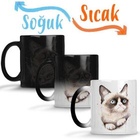 Baskı Dükkanı KB101 Cat Kedi Cat Kedi Esintisi Porselen Kupa Bardak