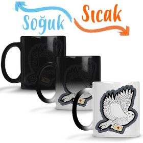Baskı Dükkanı KB10775 Harry Potter Mail Time Porselen Kupa Bardak