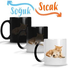Baskı Dükkanı KB2992 Cats Collection Two Kedi Porselen Kupa