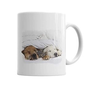 Baskı Dükkanı KB2993 Cats Collection Three Kedi Porselen Kupa