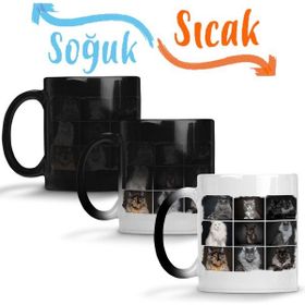 Baskı Dükkanı KB2994 Cats Collection One Kedi Porselen Kupa