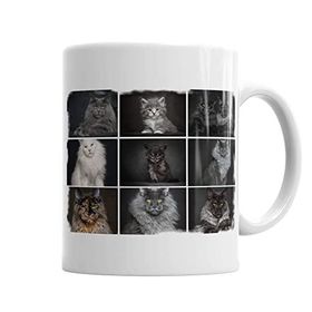 Baskı Dükkanı KB2994 Cats Collection One Kedi Porselen Kupa