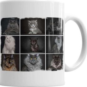 Baskı Dükkanı KB2994 Cats Collection One Kedi Porselen Kupa