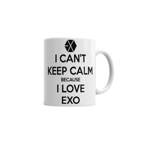 Baskı Dükkanı KB331 Exo I Cant Keep Calm Porselen Kupa Bardak