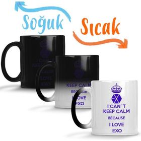 Baskı Dükkanı KB332 Exo I Cant Keep Calm Porselen Kupa Bardak