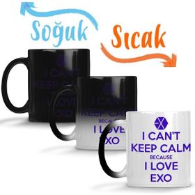 Baskı Dükkanı KB332 Exo I Cant Keep Calm Porselen Kupa Bardak