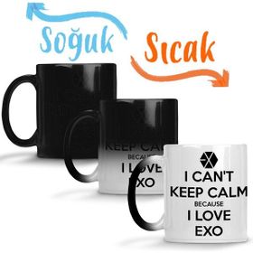 Baskı Dükkanı KB332 Exo I Cant Keep Calm Porselen Kupa Bardak