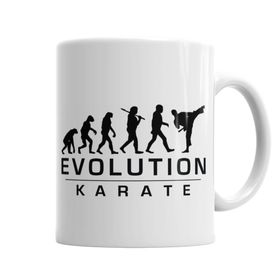 Baskı Dükkanı KB6221 Karate Evolution Porselen Kupa Bardak