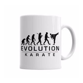 Baskı Dükkanı KB6221 Karate Evolution Porselen Kupa Bardak
