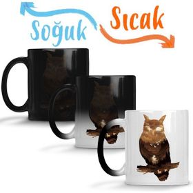 Baskı Dükkanı KB6541 Owl Sunset Baykuş Porselen Kupa Bardak