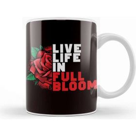 Baskı Dükkanı Life Coach Mentor Trainer Mindset Coaching Influencer Blog Kupa