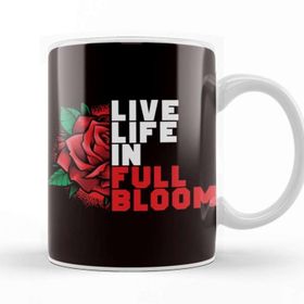 Baskı Dükkanı Life Coach Mentor Trainer Mindset Coaching Influencer Blog Kupa