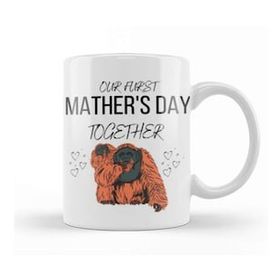 Baskı Dükkanı Mathers Day Gift 2021 Our Furst Mather's Day Together Kupa