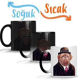 Baskı Dükkanı Süslü Pug Köpek Sihirli Porselen Kupa