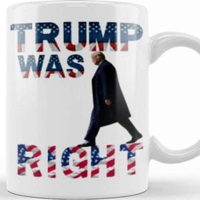 Baskı Dükkanı Trump Was Right Porselen Beyaz Kupa Bardak