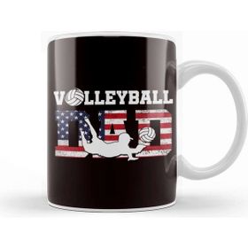 Baskı Dükkanı Us American Flag Volleyball Dad Father Ball Sports Player Kupa