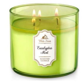 Bath Body Works Eucalyptus Mint Dekoratif Mum