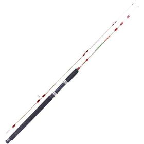 Bauer Crystal 210 cm 100-200 gr 2 Parçalı Olta Kamışı