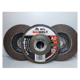 Bauwelt Hightech ÇAP115 A040 5 Adet Flap Disk Zımpara