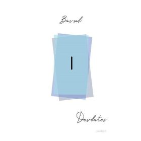 BAVUL - SERGEY DOVLATOV