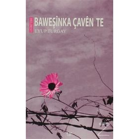 Baweşinka Çaven Te - Eyup Turgay