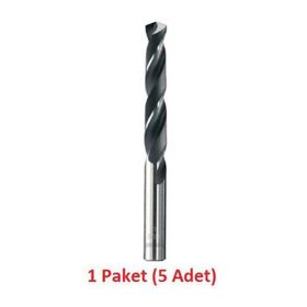 Bay-Tec 1 mm Hss Matkap Uçu