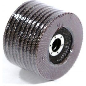Bay-Tec Flap Disk 10'lu Zımpara