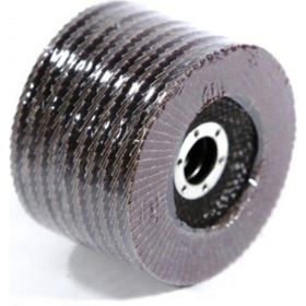 Bay-Tec Flap Disk 10'lu Zımpara